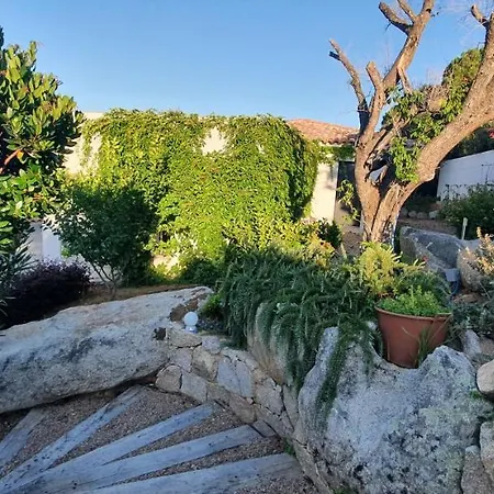 Tres Belle Vue Et Piscine Chauffee - Baccalocation * Porto-Vecchio (Corsica)