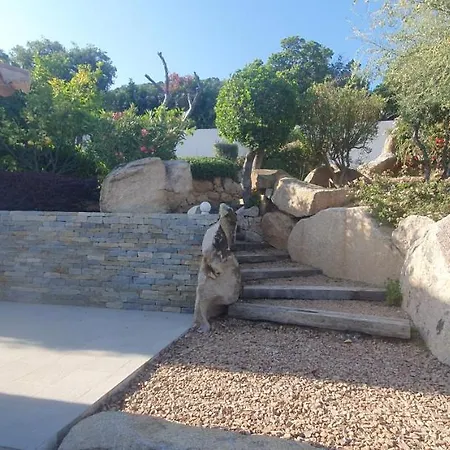 Tres Belle Vue Et Piscine Chauffee - Baccalocation Porto-Vecchio (Corsica)