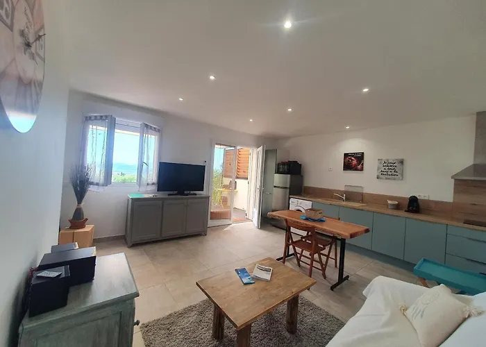 Tres Belle Vue Et Piscine Chauffee - Baccalocation Apartment *