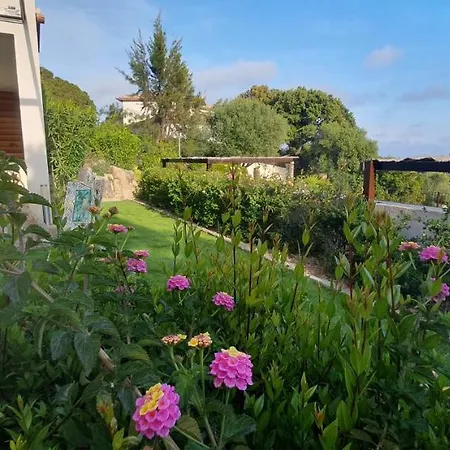 Tres Belle Vue Et Piscine Chauffee - Baccalocation Porto-Vecchio (Corsica)