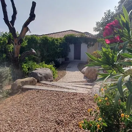 Très Belle Résidence Vue Et Piscine Chauffée - Baccalocation Porto Vecchio