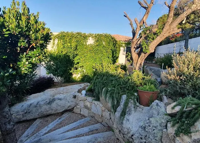 Tres Belle Vue Et Piscine Chauffee - Baccalocation * Porto-Vecchio (Corsica)