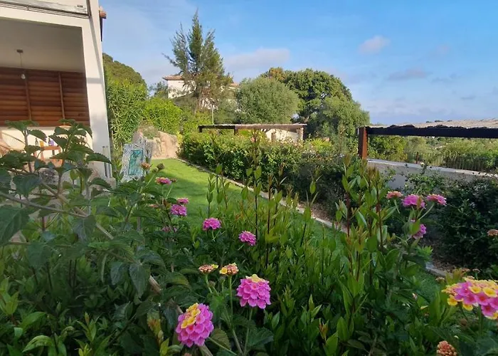 Tres Belle Vue Et Piscine Chauffee - Baccalocation Porto-Vecchio (Corsica)